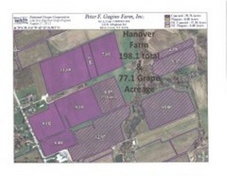 Land Auction 110 Acres in Brant, NY William Kent